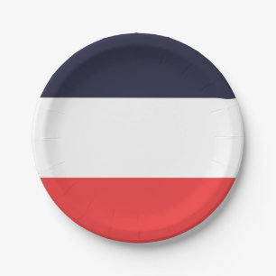 Plato De Papel Fiesta de rayas azules blancas y rojas