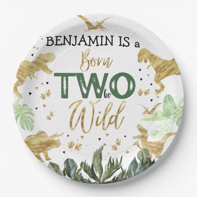 Plato De Papel Fiesta del segundo cumpleaños de Dinosaurio (Anverso)