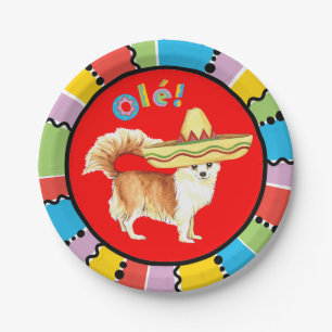 Plato De Papel Fiesta Long Coat Chihuahua