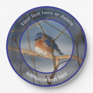 Plato De Papel Fiesta Personalizado de Winter Bluebird