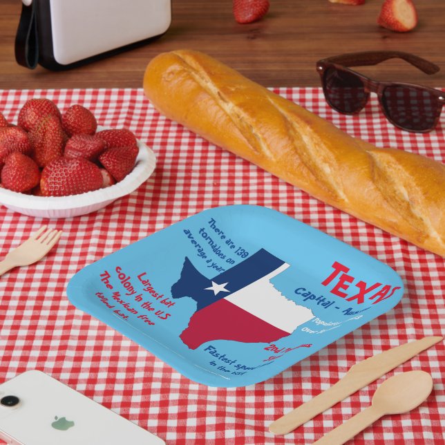 Plato de Papel Fiesta Texas Datos Increíbles Diver (Picnic)