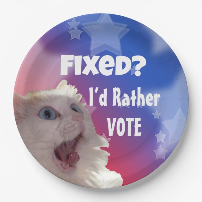 Plato De Papel ¿Fijo? Prefiero votar (Anverso)