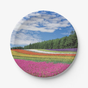Plato De Papel Filas de campo de verano de flores