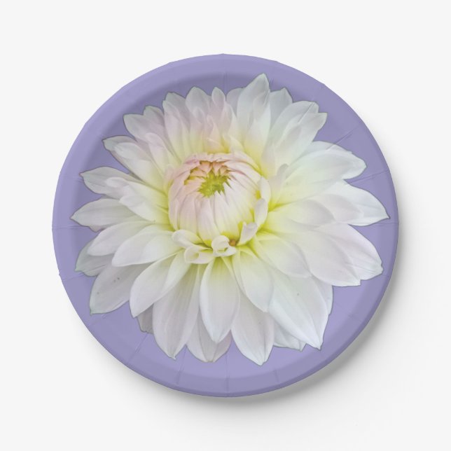 Plato De Papel Flor blanca y amarilla (Anverso)