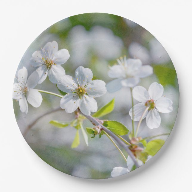 Plato De Papel Flor de cerezo blanca (Anverso)