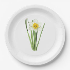 Plato De Papel Flor de Daffodil Arte Botánico
