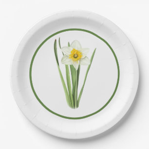 Plato De Papel Flor de Daffodil Arte Botánico Bordeado 