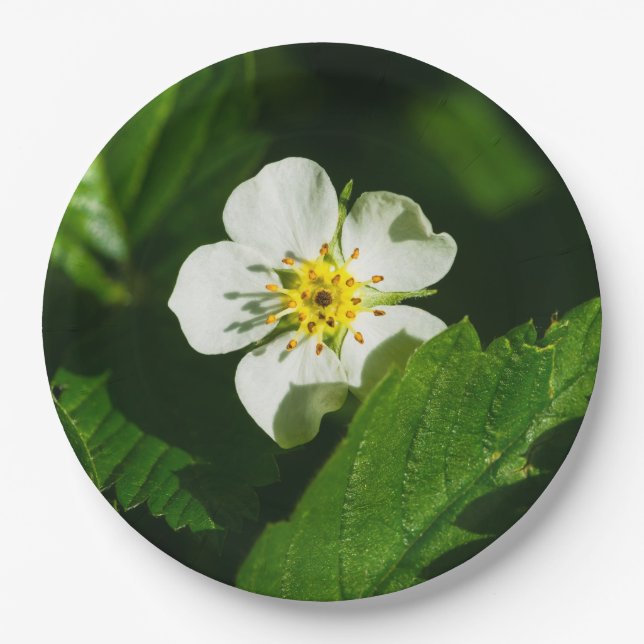 Plato De Papel Flor de Fresa Silvestre (Anverso)