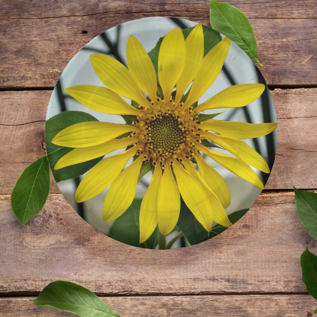 Plato De Papel Flor de girasol amarillo Delicada Floral Botánica (Subido por el creador)