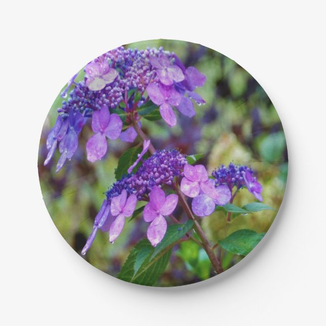 Plato De Papel Flor de hidrangea morada y grita (Anverso)