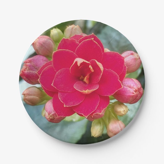 Plato De Papel Flor de Kalanchoe (Anverso)