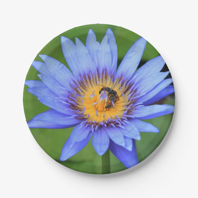 Plato De Papel Flor de Lotus (Anverso)