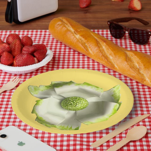 Plato De Papel Flor de margarita divertida Primavera Verano Boda  (Picnic)