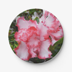 Plato De Papel Flor de primavera de Azaleas doble roja y blanca