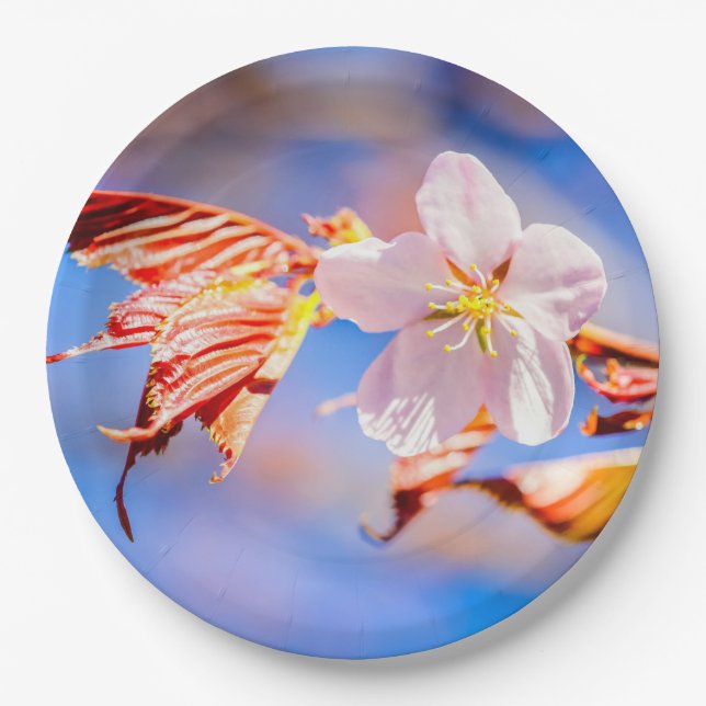 Plato De Papel Flor de Sakura Rosa Cielo Azul (Anverso)