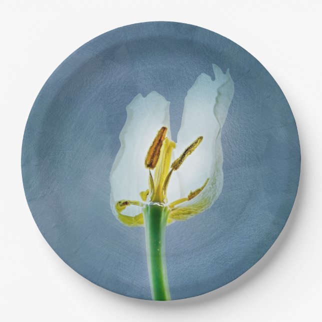 Plato De Papel Flor de tulipán blanco (Anverso)