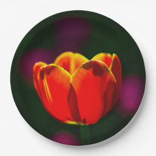 Plato De Papel Flor de tulipán rojo