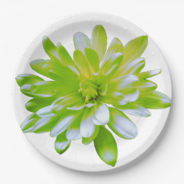 Plato De Papel Flor floral verde suave y elegante