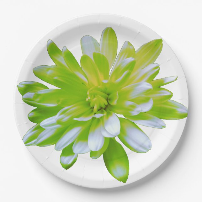 Plato De Papel Flor floral verde suave y elegante (Anverso)