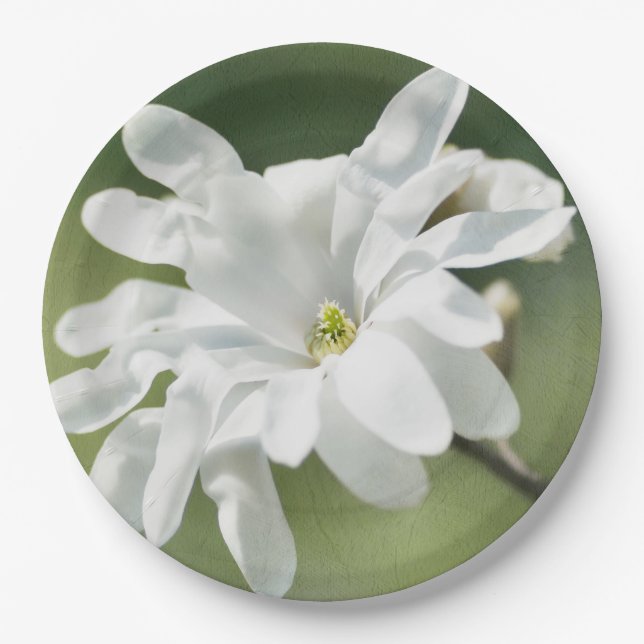 Plato De Papel Flor magnolia blanca (Anverso)