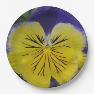Plato De Papel Flor morada y amarilla