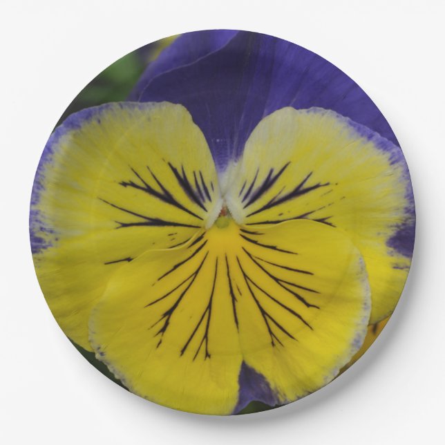 Plato De Papel Flor morada y amarilla (Anverso)