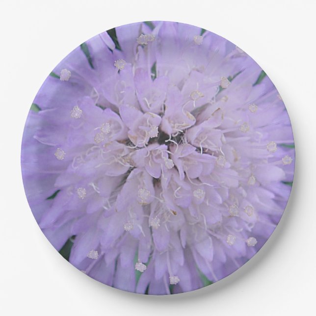 Plato De Papel Flor púrpura (Anverso)
