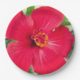 Plato De Papel Flor Roja de Hibisco Rosa-sinensis