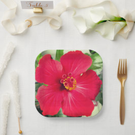 Plato De Papel Flor roja de Hibiscus Rosa-sinensis