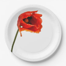 Flor roja de la amapola