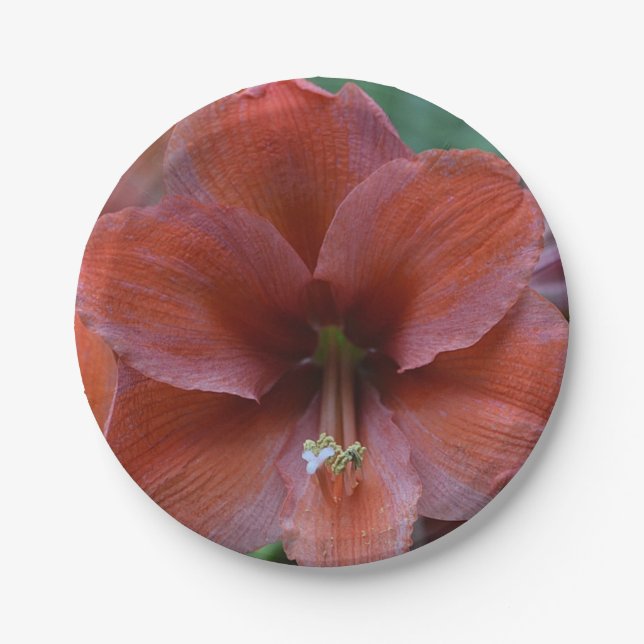 Plato De Papel Flor roja tropical (Anverso)