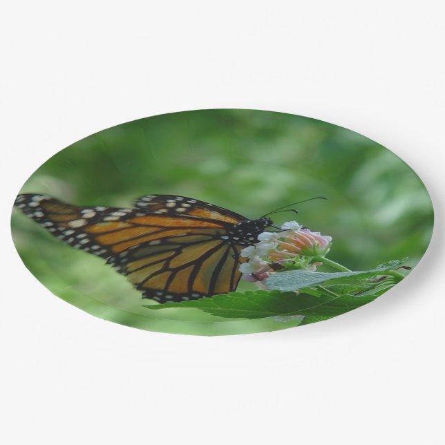 Plato De Papel Flor rosa blanca de mariposa monarca (Angular)