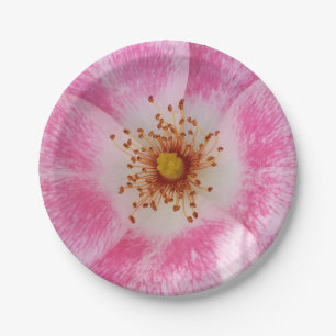 Plato De Papel flor rosa en la sombra