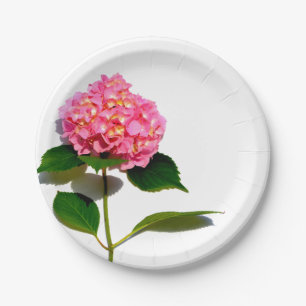 Plato De Papel Flor rosa Hydrangea rosa flor rosa floral
