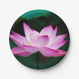 Plato De Papel Flor rosa Lotus