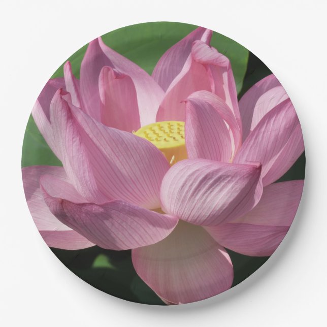 Plato De Papel Flor rosa Lotus IV (Anverso)