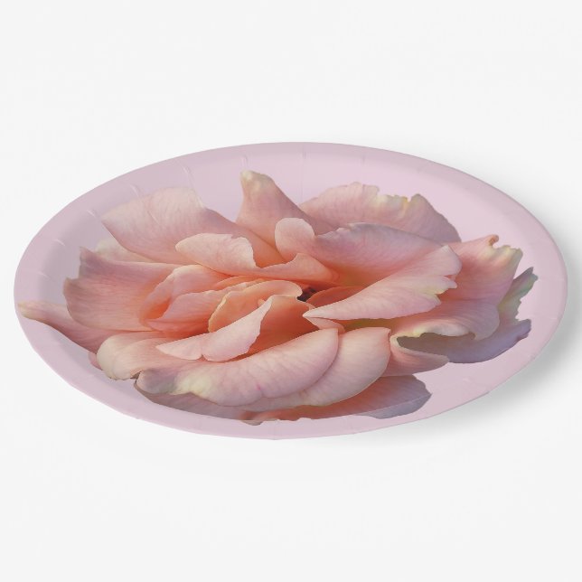 Plato De Papel flor rosa rosa rosa rosa (Angular)