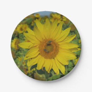 Plato De Papel flor sund amarilla