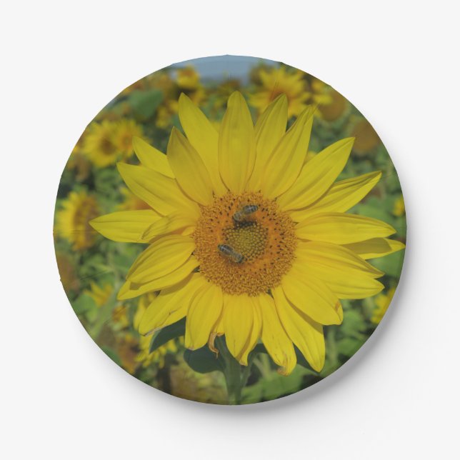 Plato De Papel flor sund amarilla (Anverso)