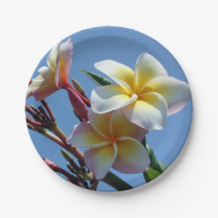 Plato De Papel Floraciones llamativas del Frangipani del Plumeria