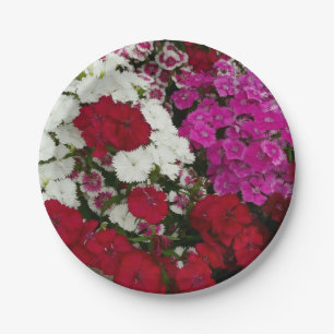 Plato De Papel Floral blanca, rosa y roja de Dianthus