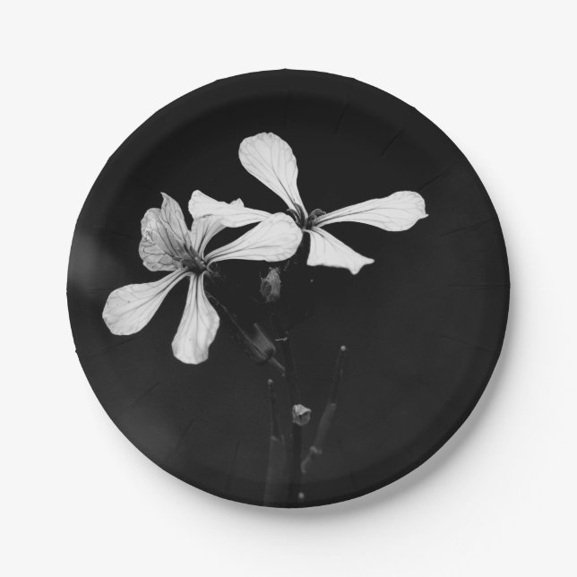 Plato De Papel floral blanca y negra mínima (Anverso)