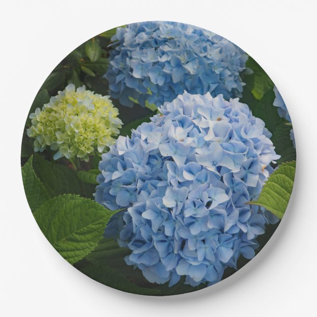 Plato De Papel Floral Blue Hydrangea Photo (Anverso)