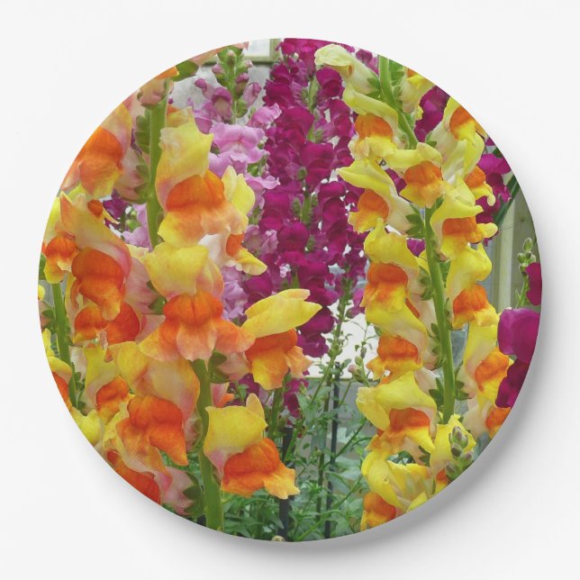 Plato De Papel Floral colorida de Snapdragons (Anverso)