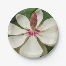 Floral de Magnolia Blossom japonesa