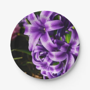Plato De Papel Floral de primavera azul Hyacinin II