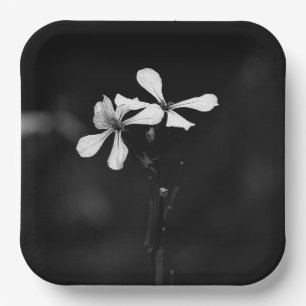 Plato De Papel floral en blanco y negro minimalista