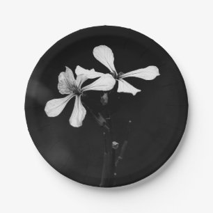 Plato De Papel floral en blanco y negro minimalista