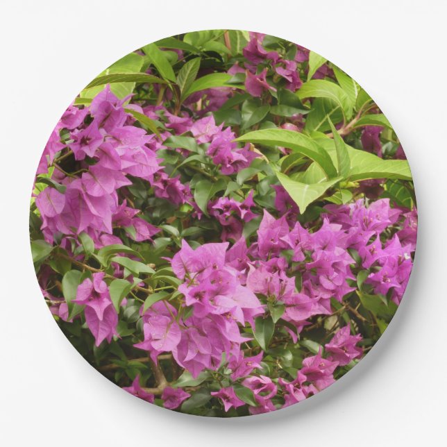 Plato De Papel Floral Tropical Morada Bougainvillea (Anverso)