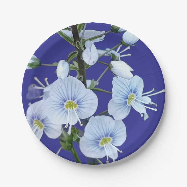Plato De Papel Flores azules (Anverso)